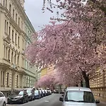 Апартаменты Comfort Place Brno, Hybesova Брно