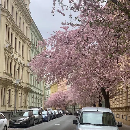 شقة Comfort Place Brno, Hybesova برنو